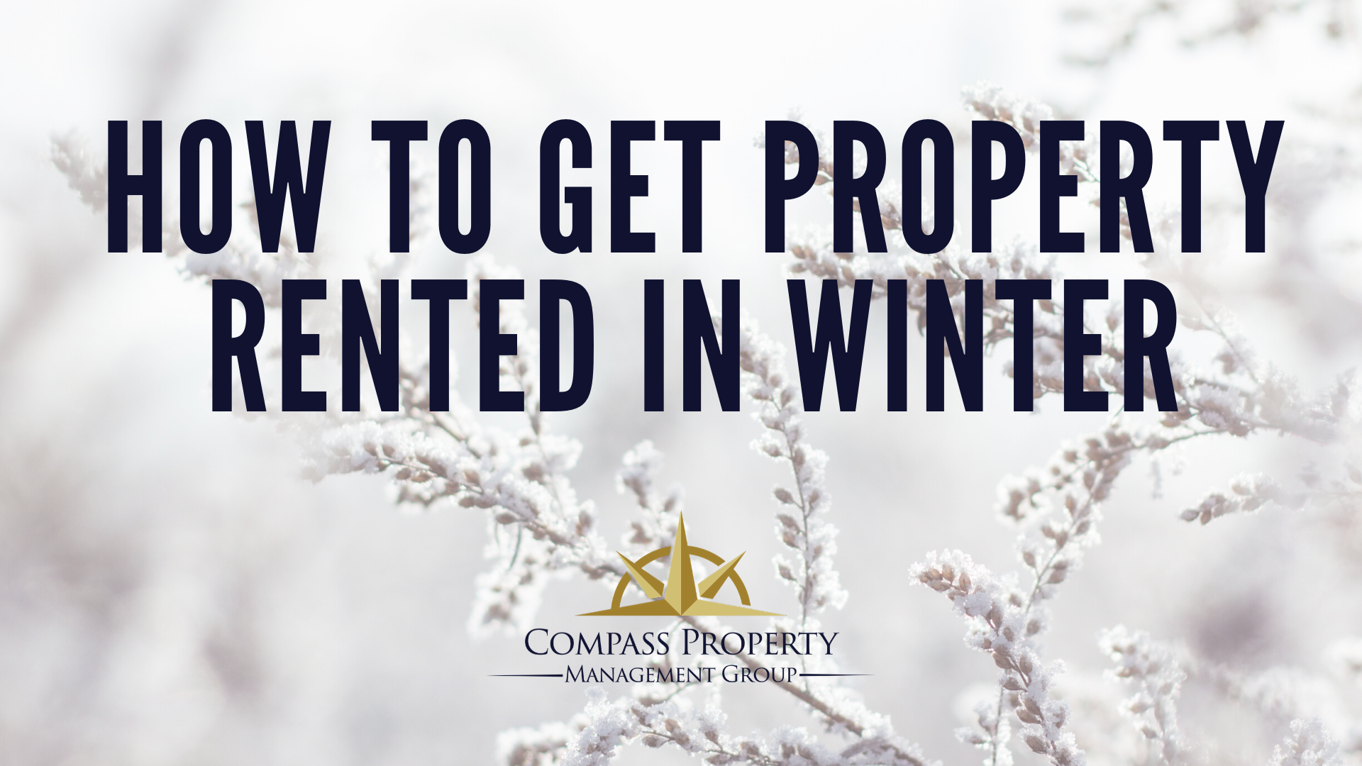 How To Get Property Rented in Winter Compass Property Management